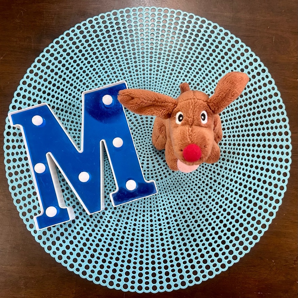 Culver’s Restaurant “Fudge” Dog 6” Plush Stuffed Animal 2016 Promotion